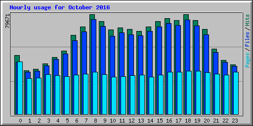 Hourly usage for October 2016