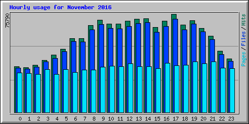 Hourly usage for November 2016